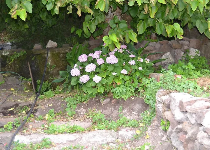 Gæstehus Su Cantaru 4*