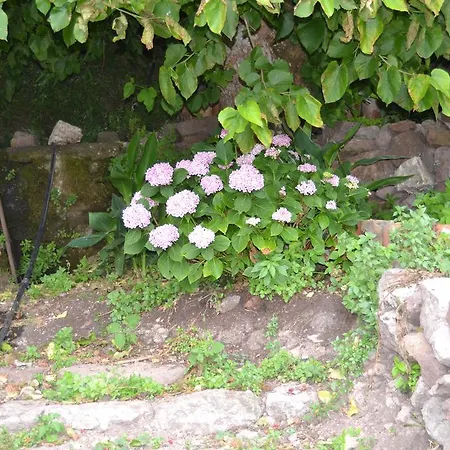 Maison d'hôtes Su Cantaru 4*